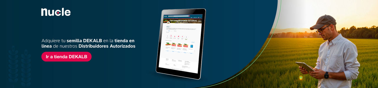 Banner-DK-1920x450-px_v4 Banner-DK-1920x450-px_v4